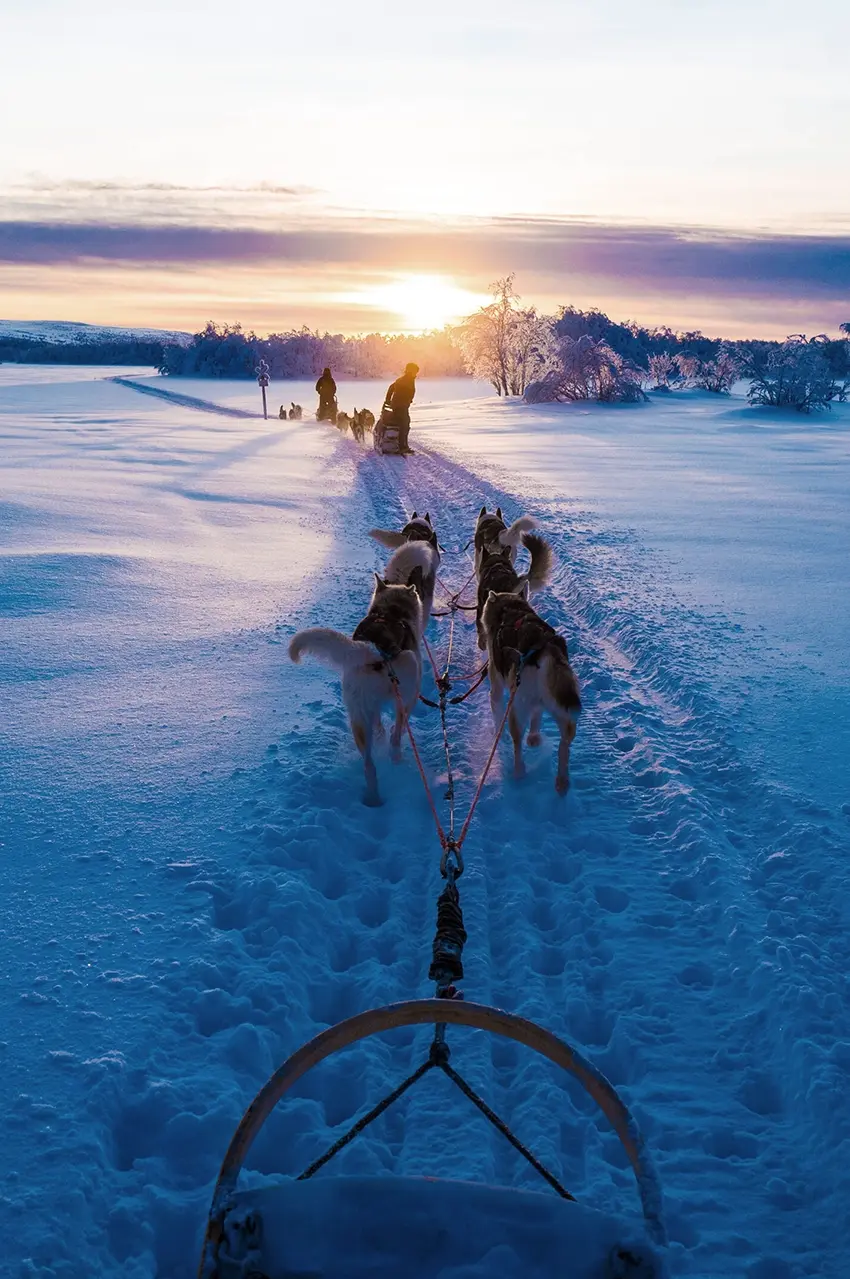 dog sledding photo: K. Chae, Visit Finland