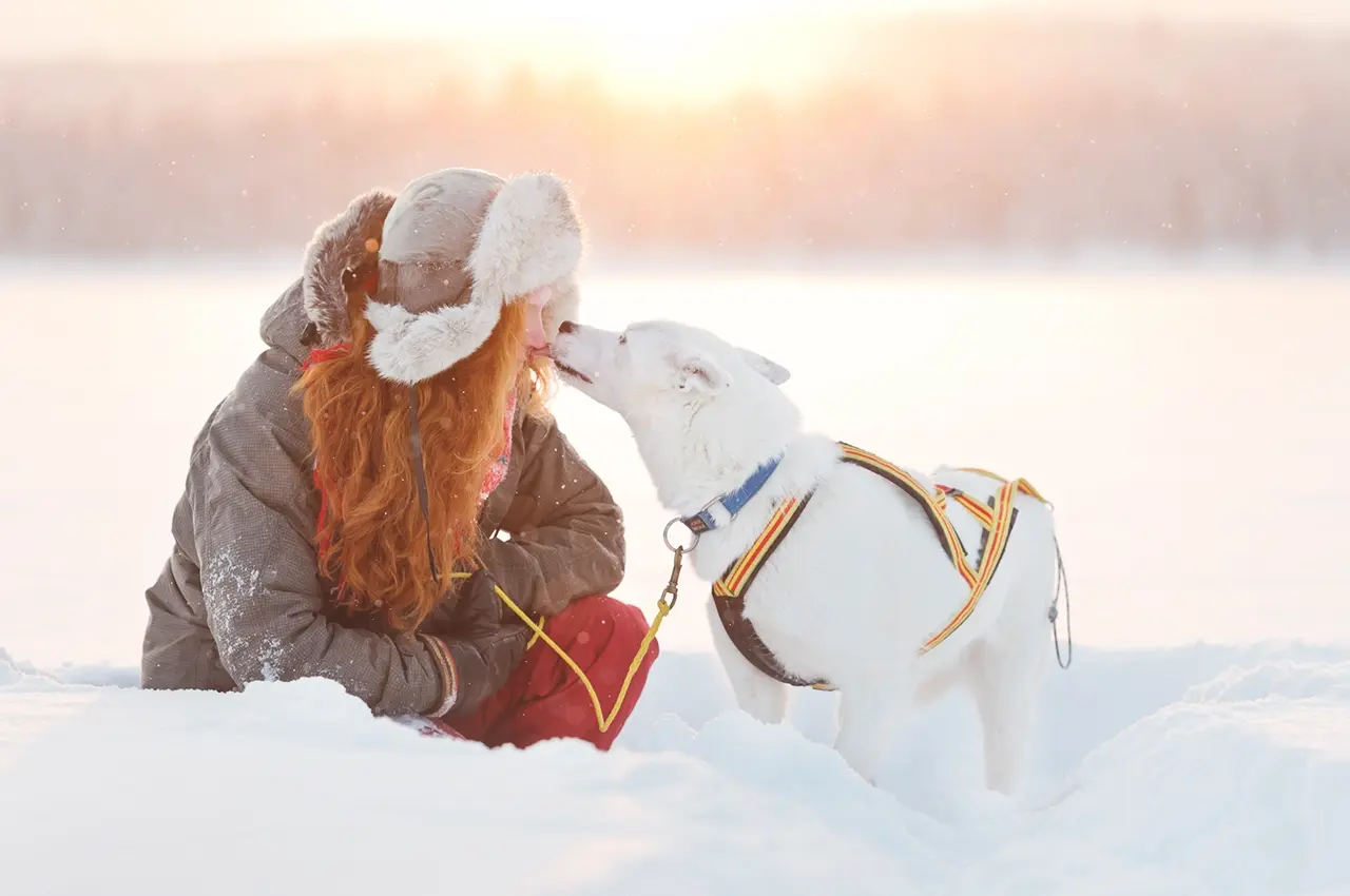 sleddog_kiss a girl and her dog kissing in the snow