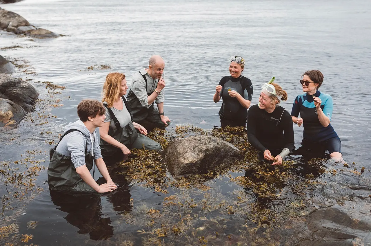 Algblomman2 Algblomman - a group stands in the water and tastes seaweed