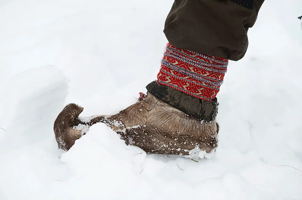 reindeer skin shoe. photo: Visit Finland