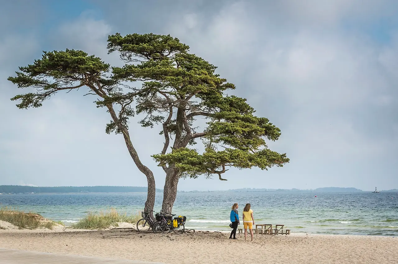Sydostleden Sydostleden - two young women taking a break looking out over the sea on their biking trip