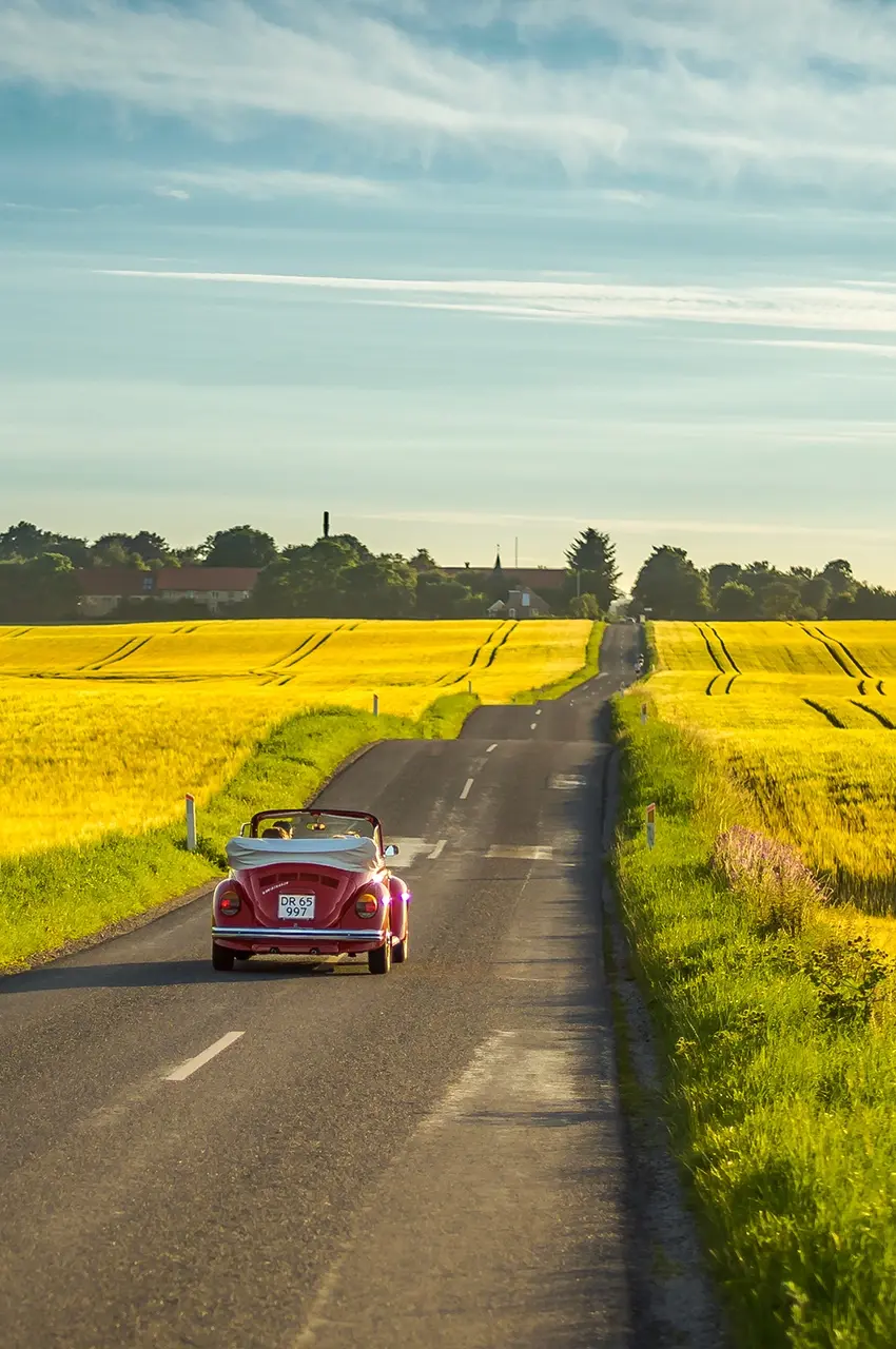 Yellow-field2 cabriolet driving on a small road sounded by yellow fields