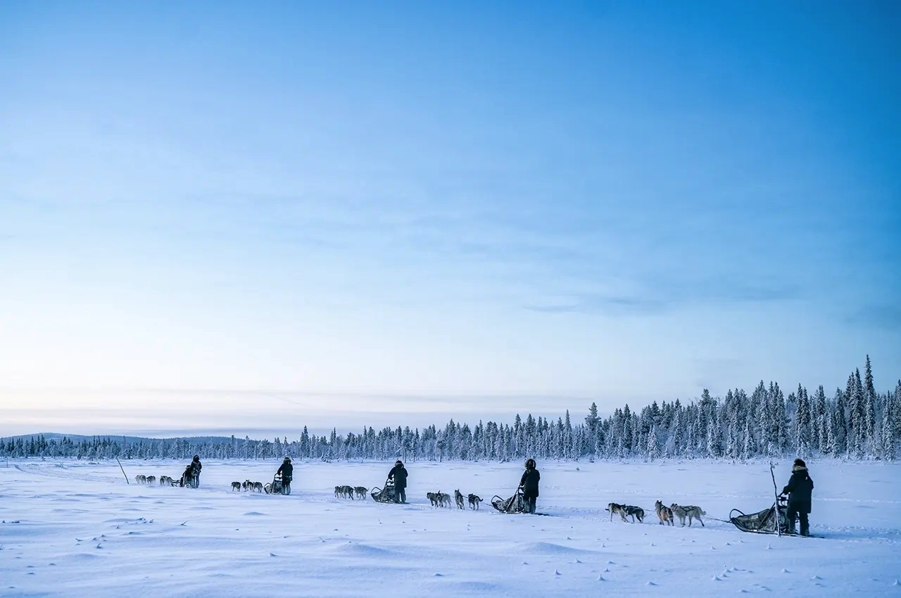 dogsled3 dog sledge