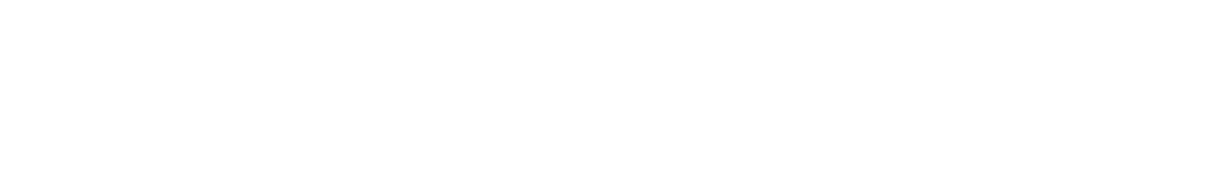 when nordic logo